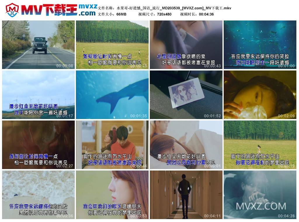 水果哥-好遗憾_国语_流行_MD203539